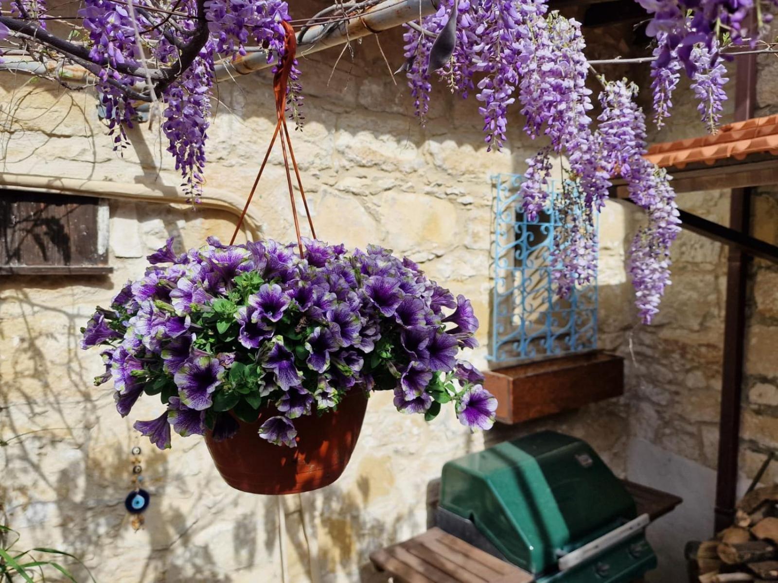 The Courtyard Suite Лимасол Екстериор снимка
